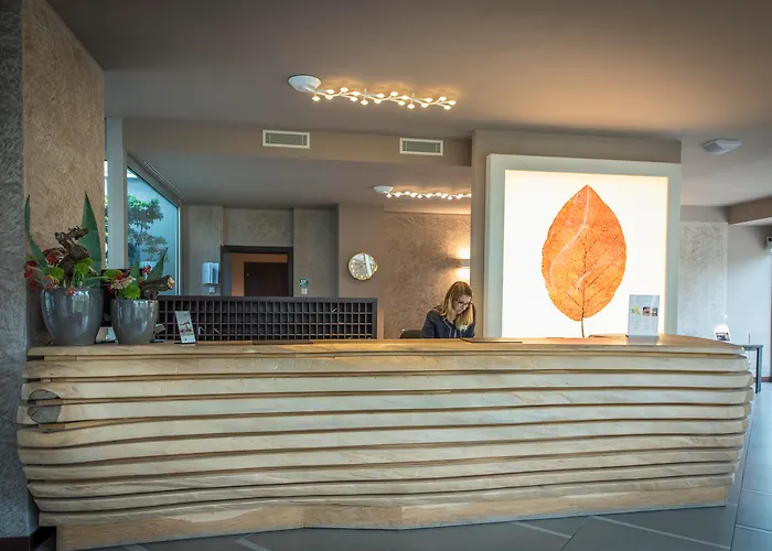 Aqualux & Terme 4* 巴多利诺