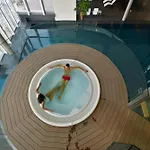 Aqualux & Terme מלון ברדולינו
